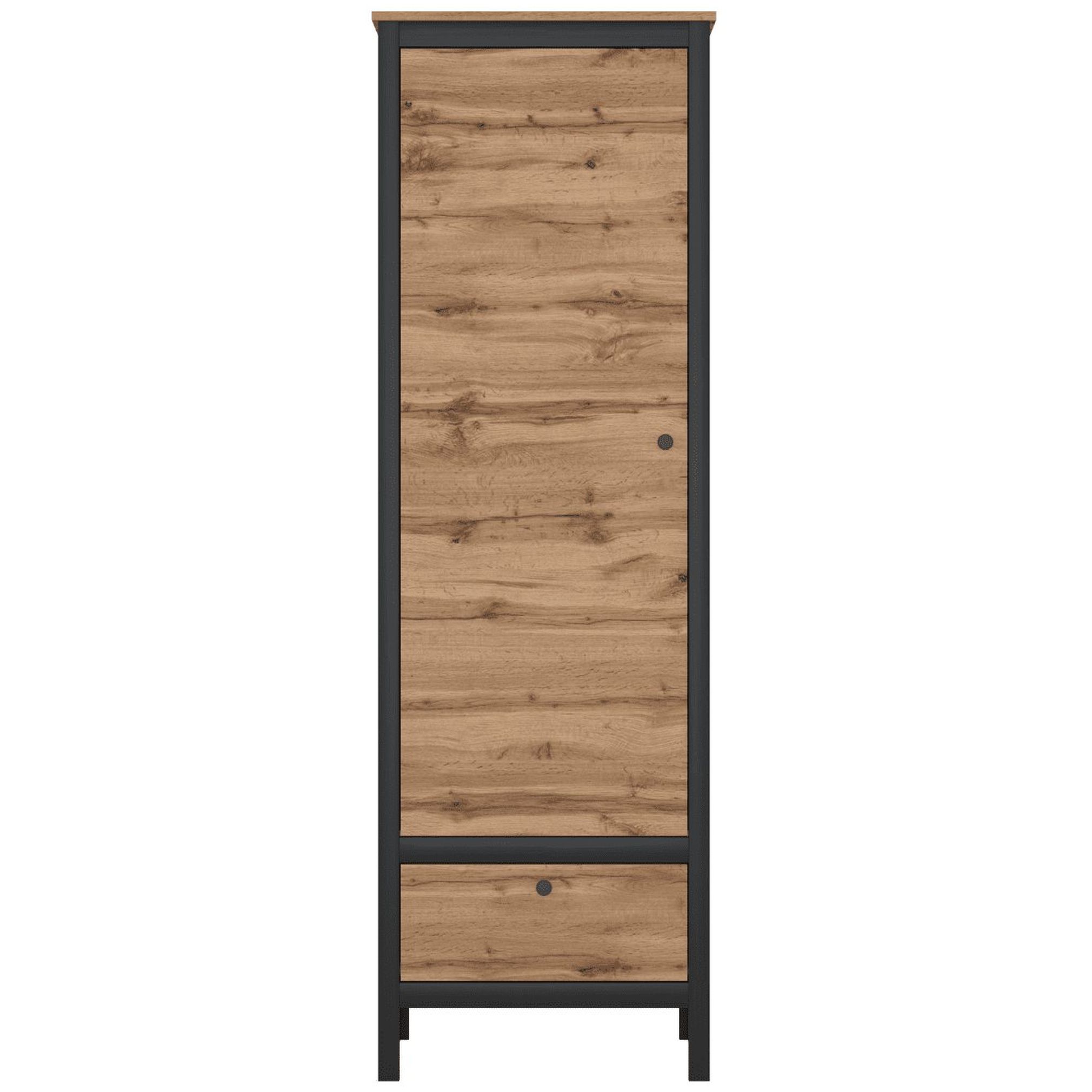 Картинка Лофт шкаф-пенал REG1D1S интернет-магазин мебели FreeTime